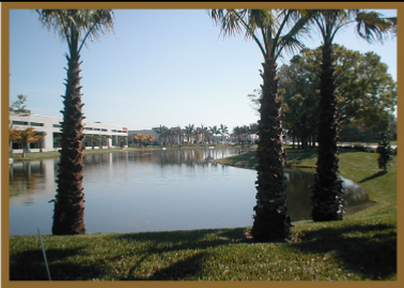 Bardmoor Palms